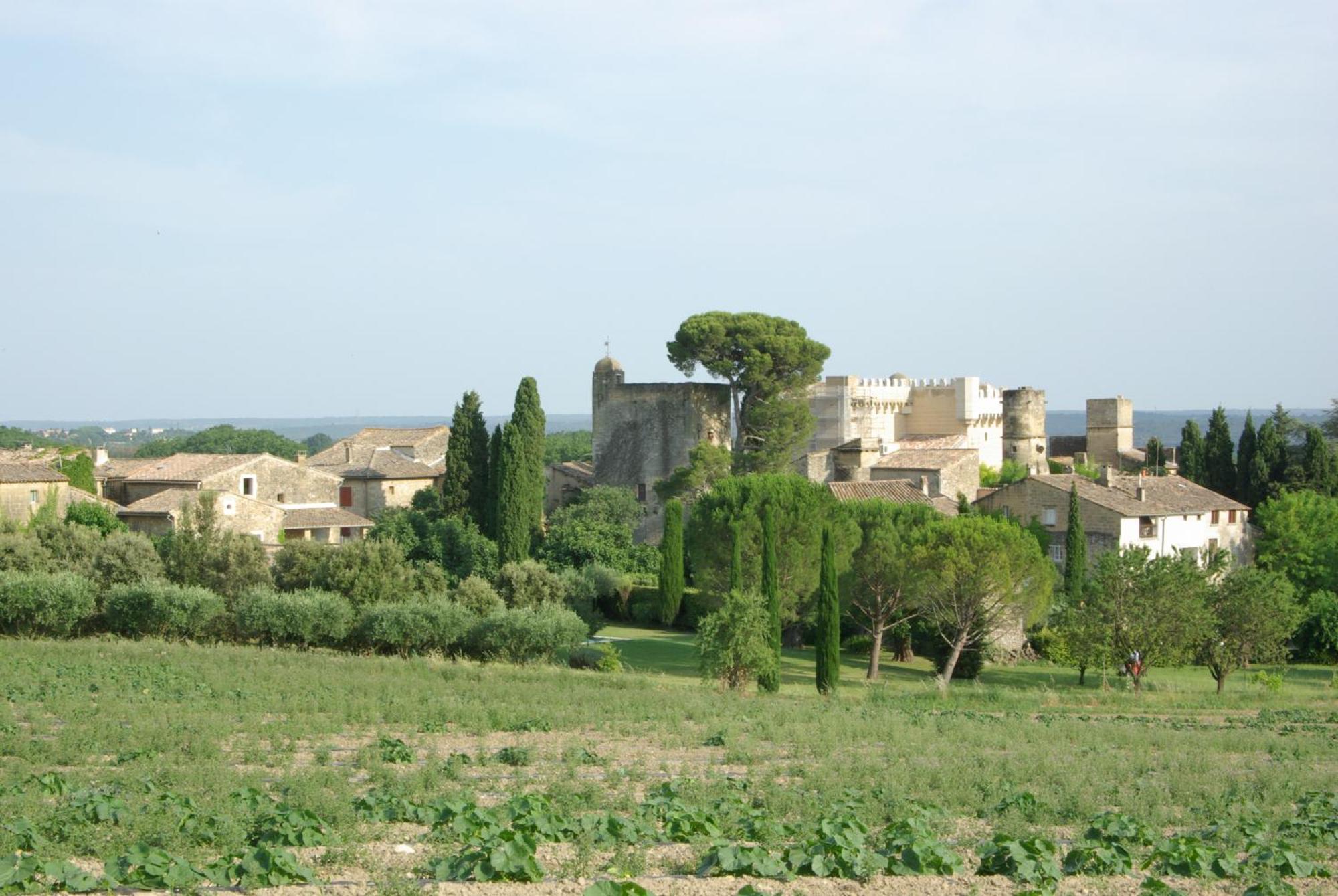 Bed and Breakfast Tour Sarrazine De Montaren Exterior foto