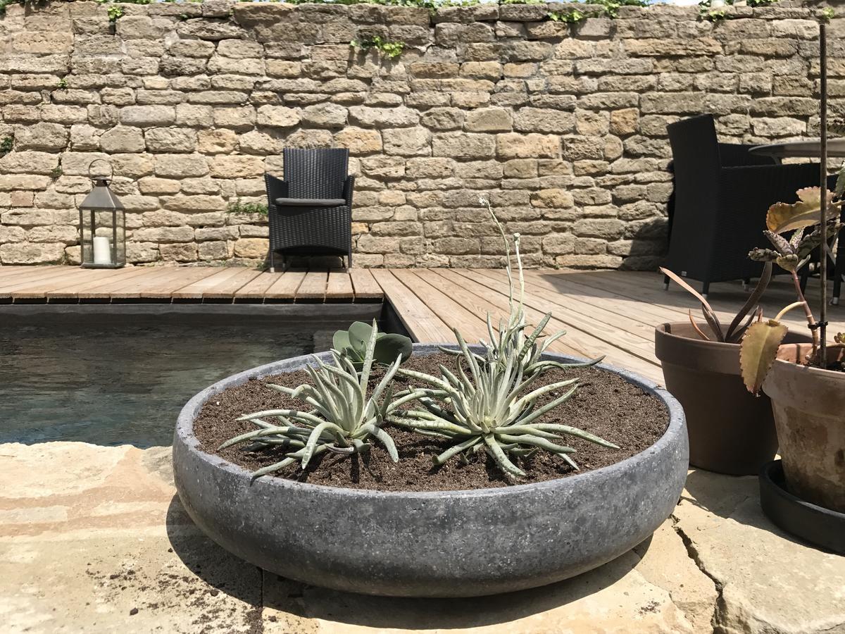 Bed and Breakfast Tour Sarrazine De Montaren Exterior foto
